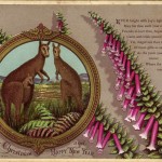 1881 early australian Christmas cards