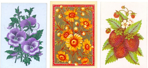 Three square cornered 19th century swap cards showing flowers and fruit. Collection of Jill S.