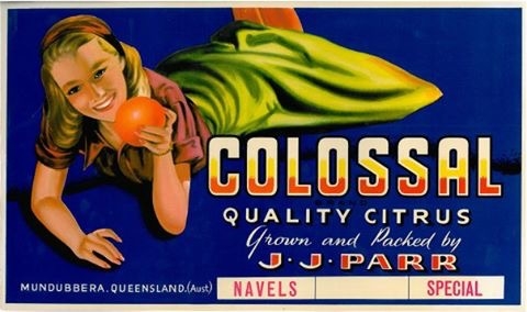 Colossal quality citrus from J.J Para