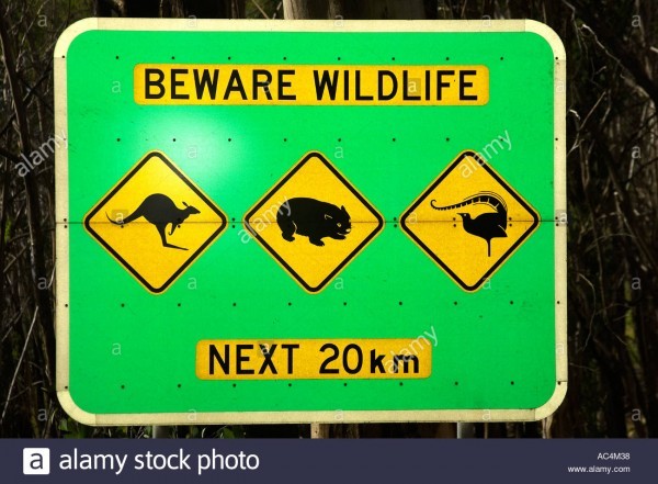 Sign at Mount Buffalo national park.